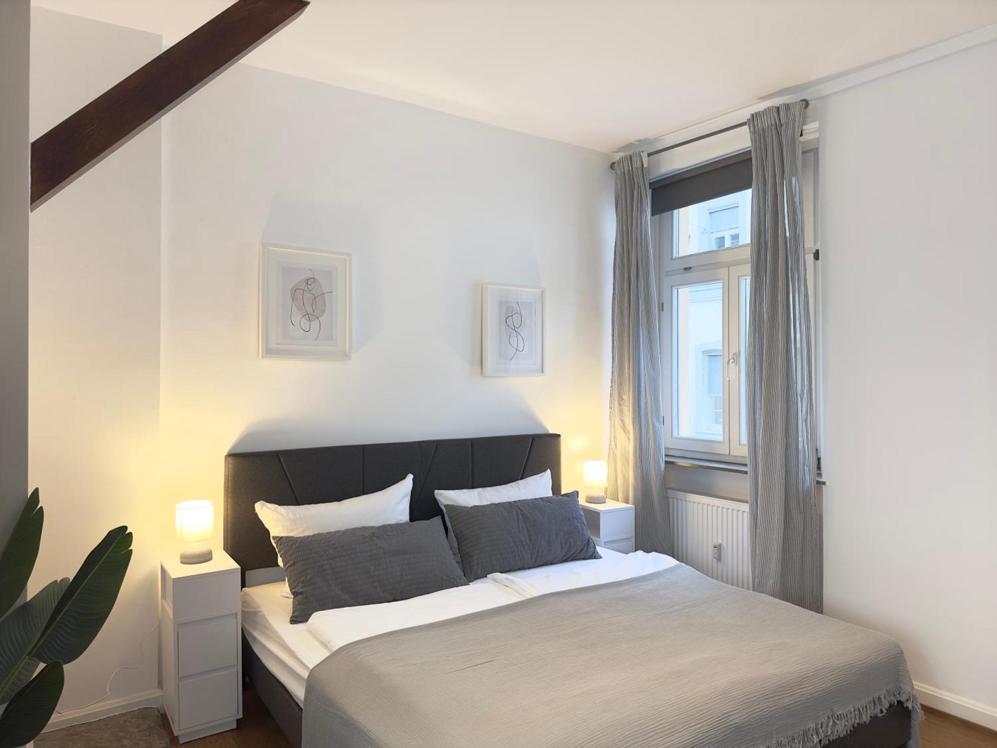Luxury Old Town Suite - Xxl Terrasse & Xxl Penthouse Heidelberg Buitenkant foto