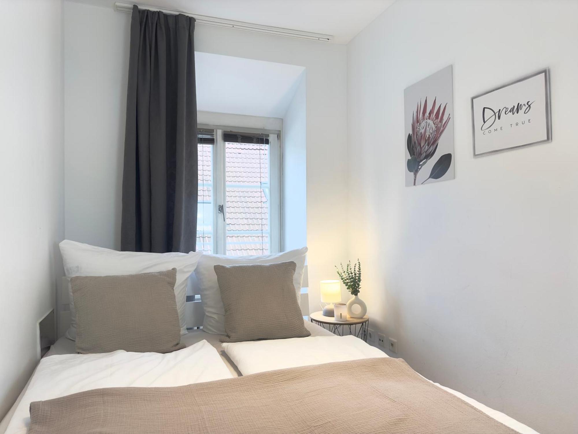 Luxury Old Town Suite - Xxl Terrasse & Xxl Penthouse Heidelberg Buitenkant foto